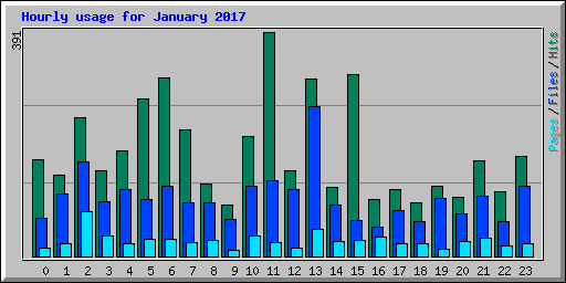 Hourly usage for January 2017